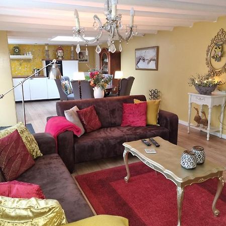 Zomerhuis Vlak Bij Zee Villa Wijk aan Zee ภายนอก รูปภาพ